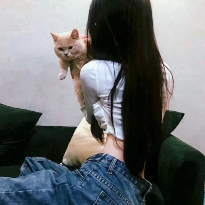 暗警 在线观看
