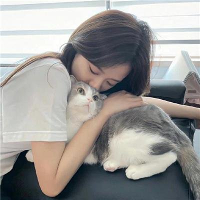 金小气家族 在线观看