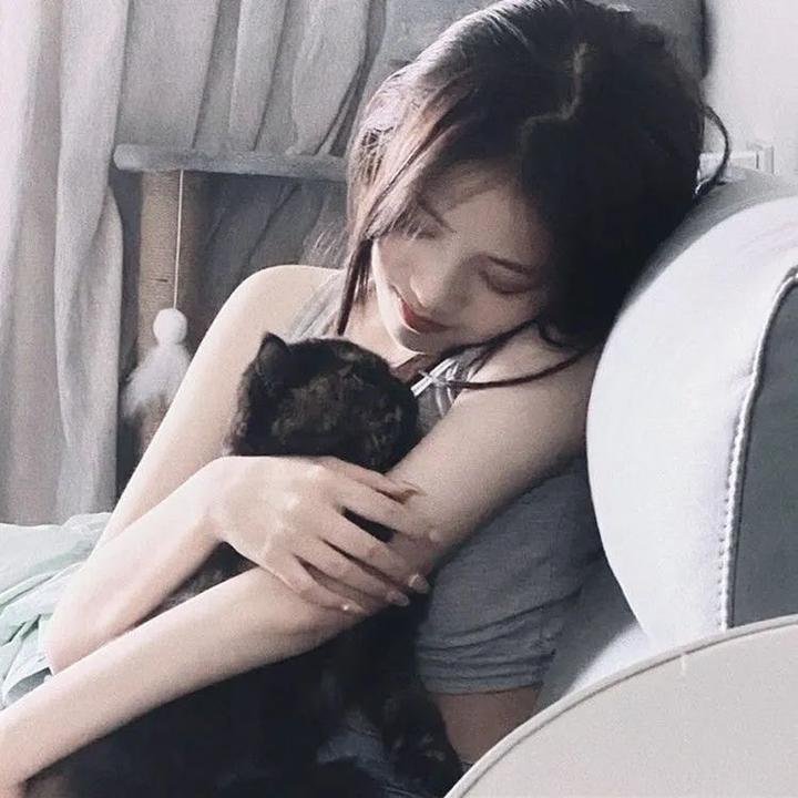 你好，汉语桥 在线观看